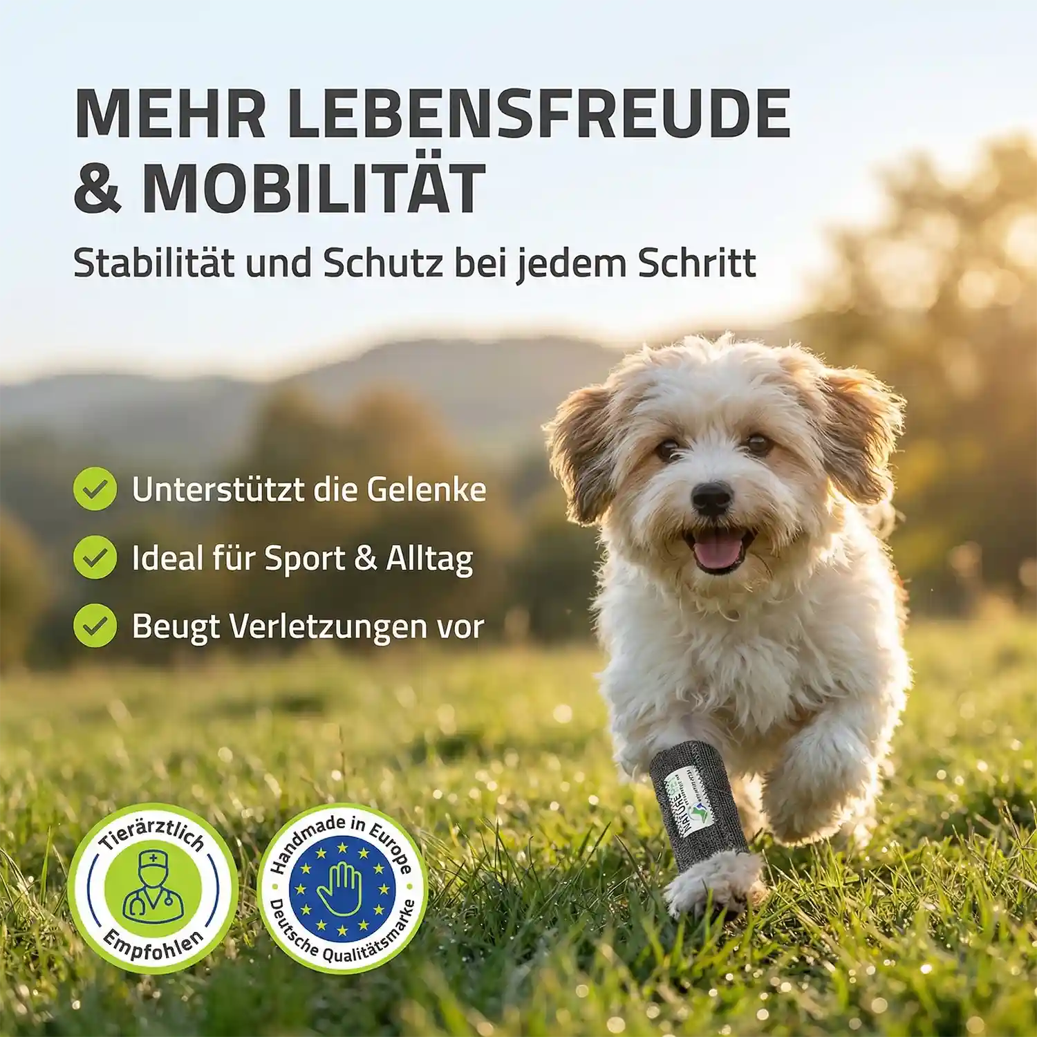 Elastische Handgelenkbandage für kleine Hunde 5 Hundebandage für Kleine Hunde