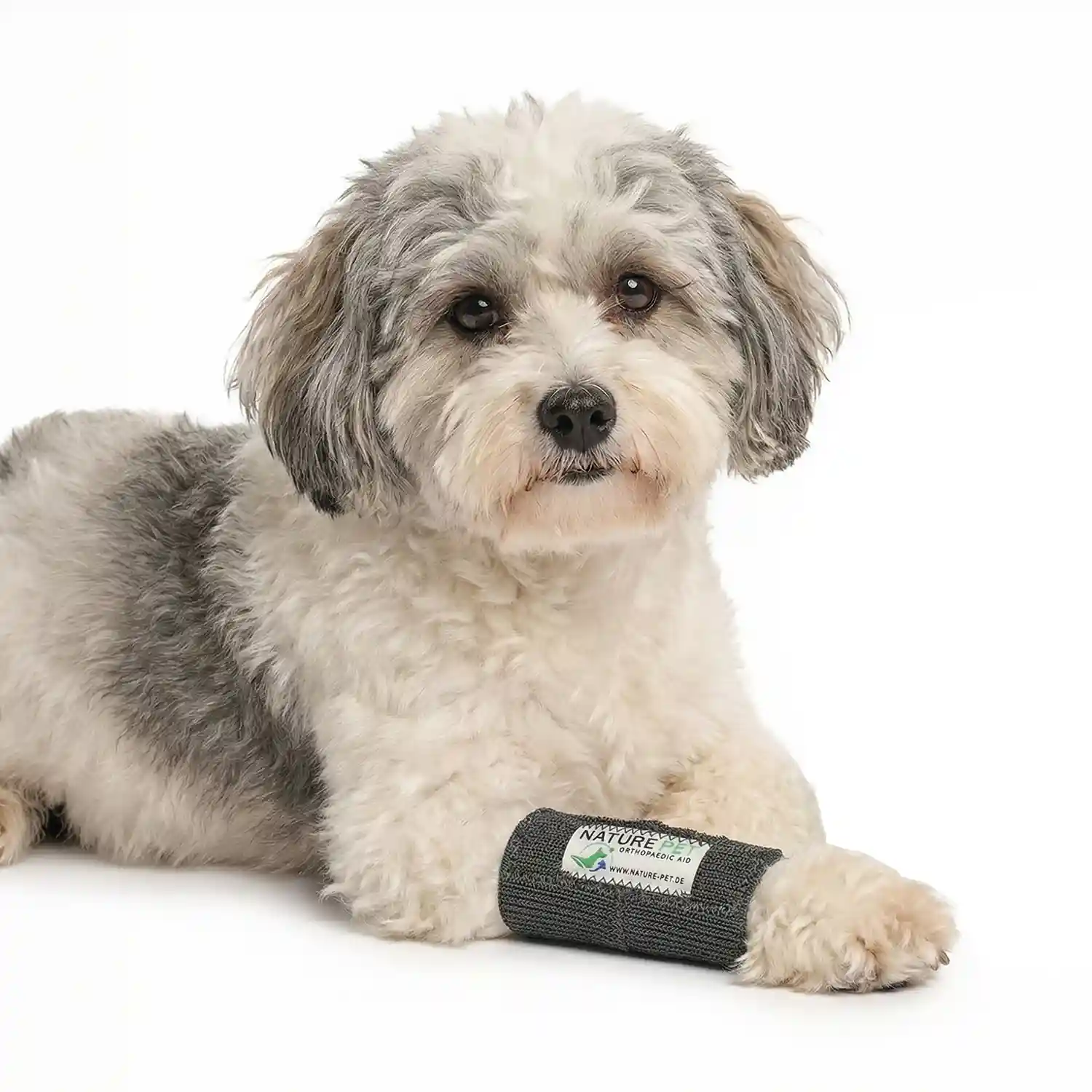 Elastische Handgelenkbandage für kleine Hunde 21 Hundebandage für Kleine Hunde