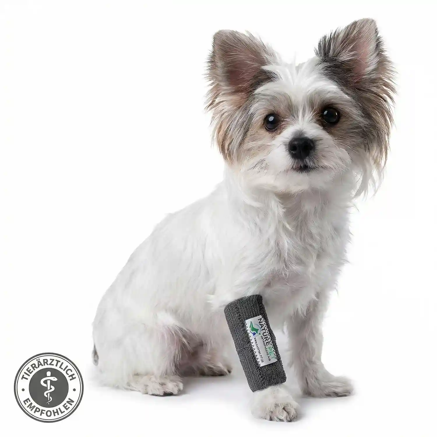 Elastische Handgelenkbandage für kleine Hunde 23 Hundebandage für Kleine Hunde
