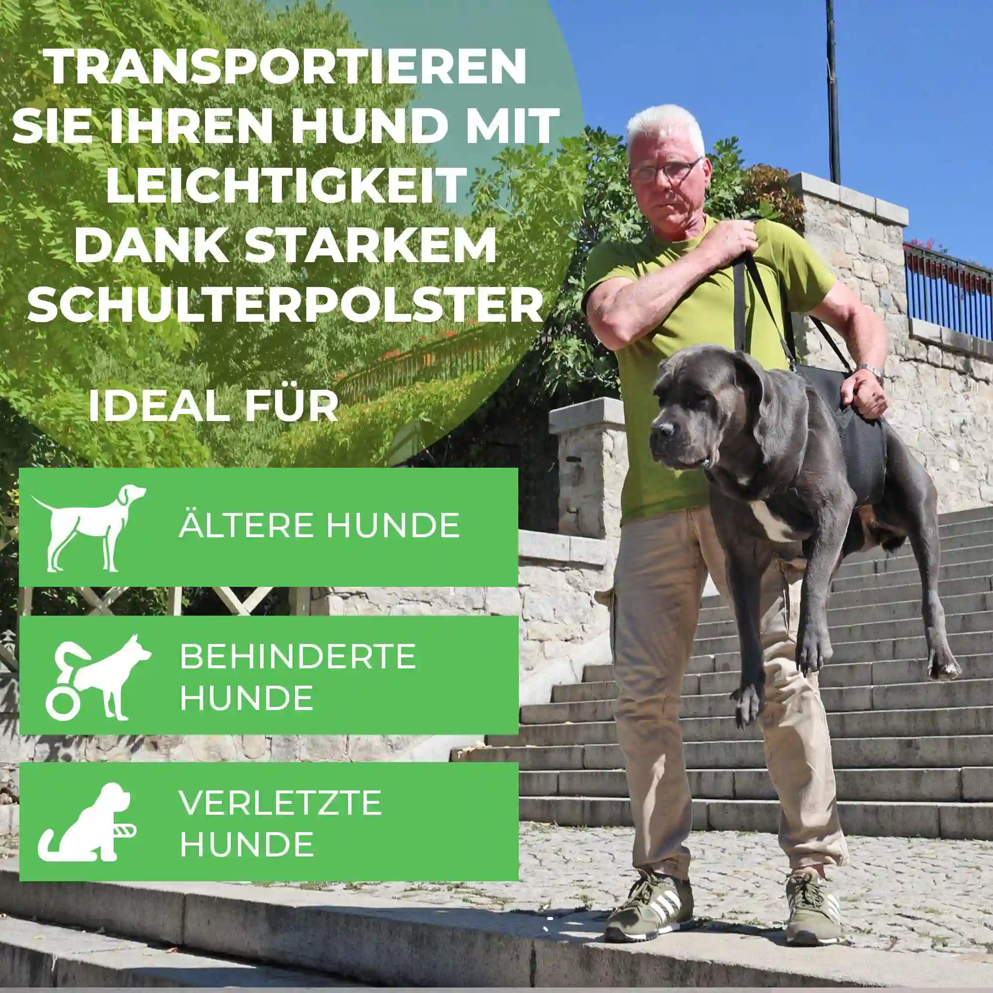 Tragehilfe Basic 15 Durchgehende Tragehilfe Basic für Hunde