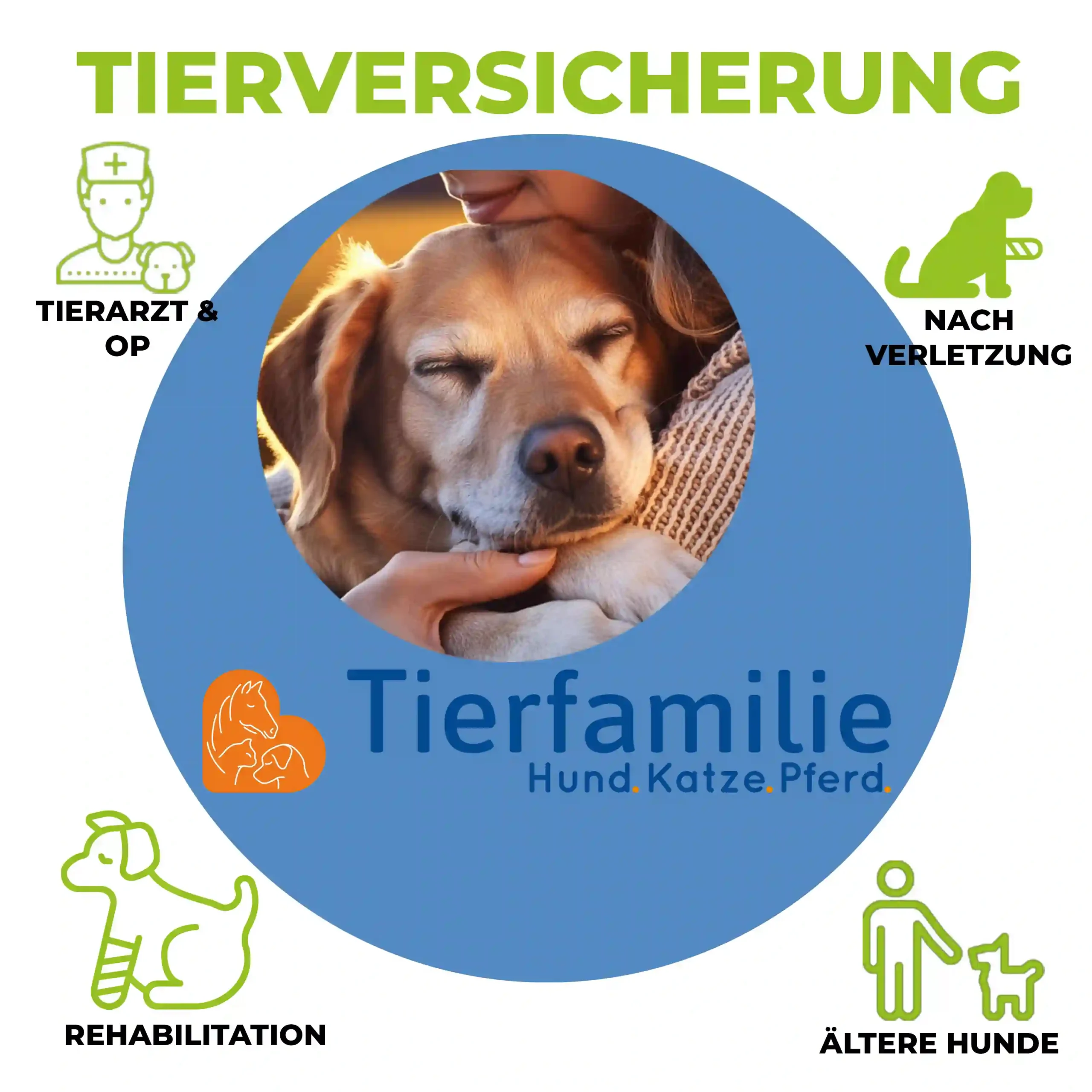 Tierversicherung 1 Tierversicherung
