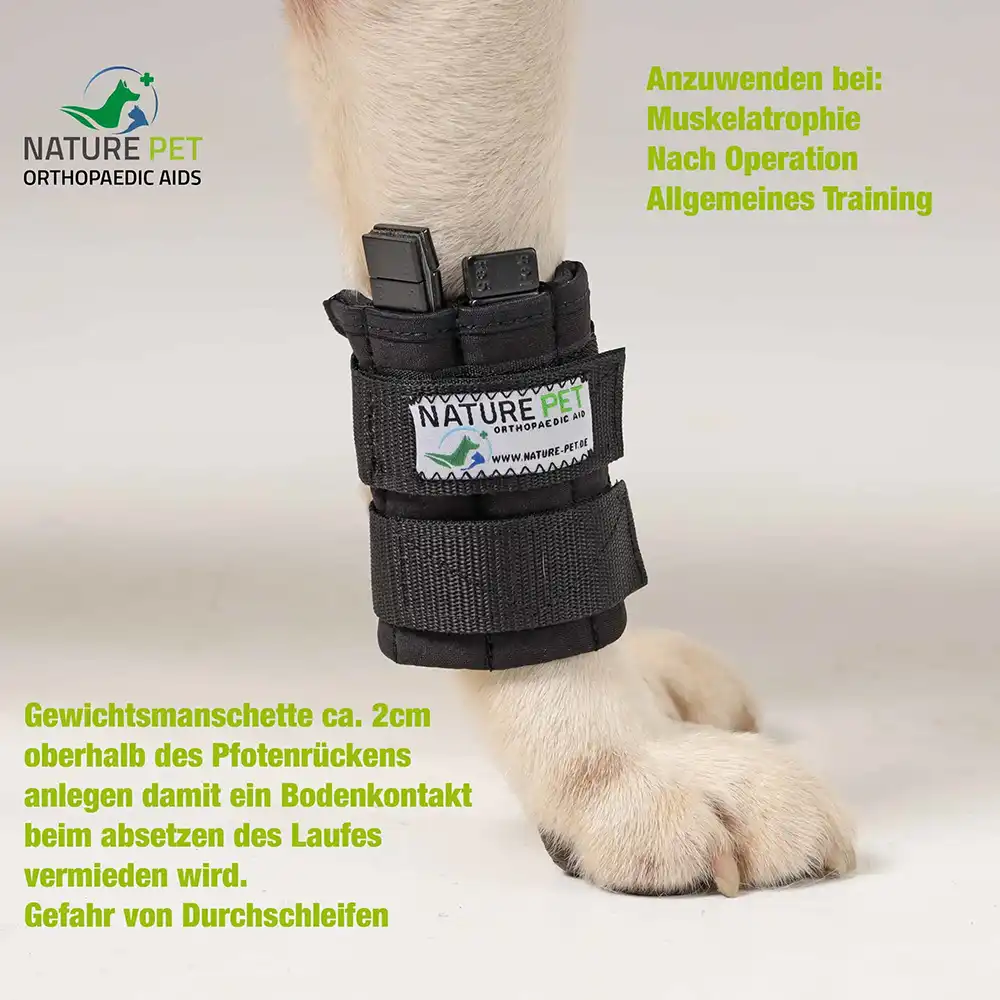 Therapiemanschette für Hunde 11 Anlegen der Trainings Bandage für Hunde
