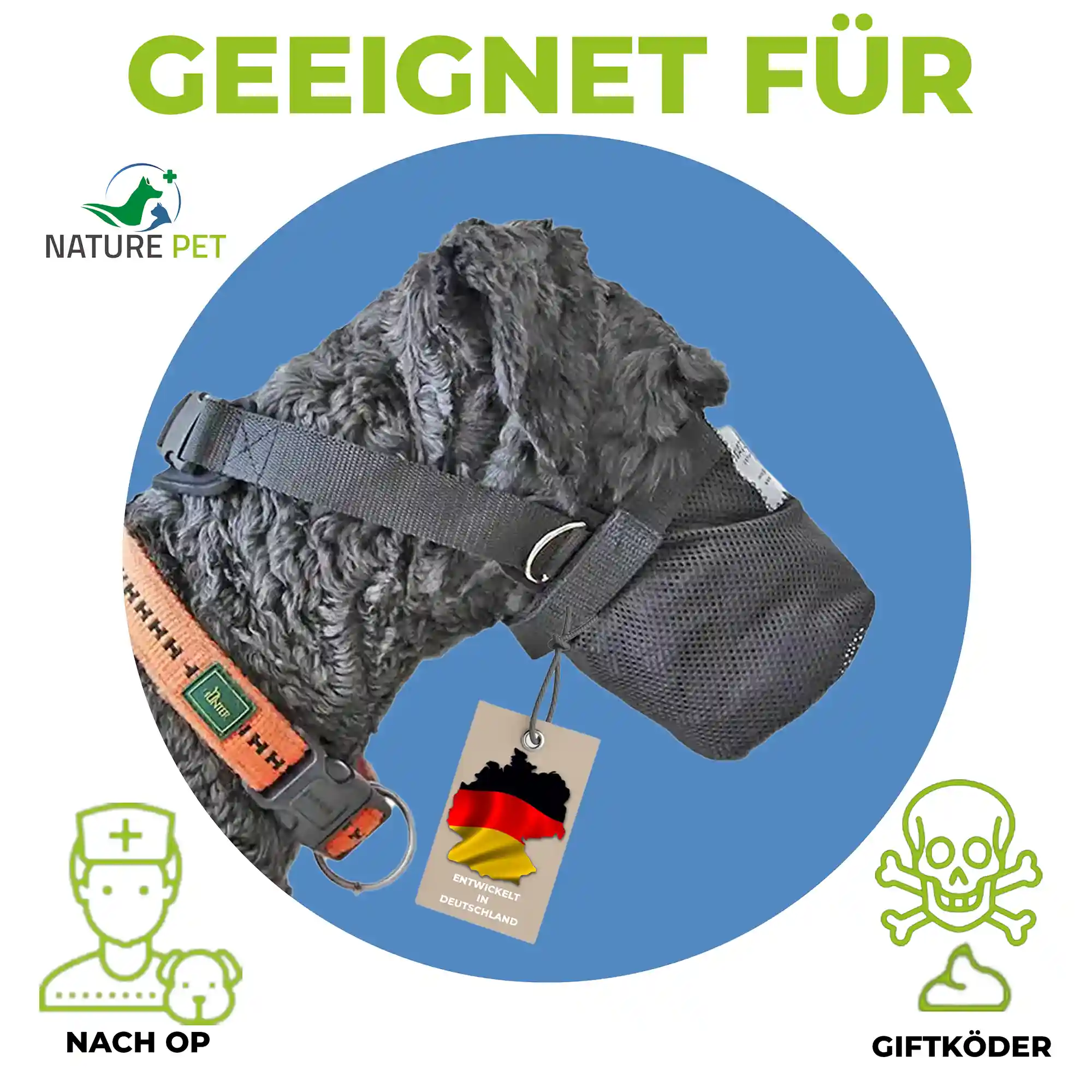 Giftköderschutz 1 Giftköder Schutz & OP Kragen für Hunde
