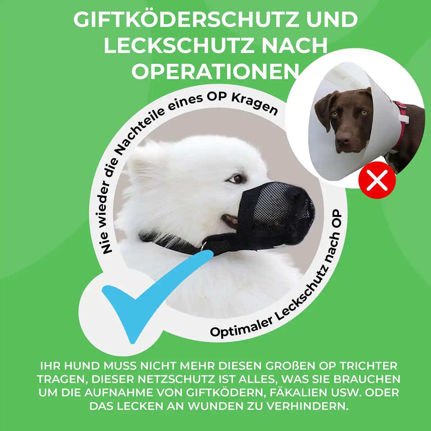 Giftköderschutz 3 Giftköderschutz für Hunde oder Leckschutz nach Operationen