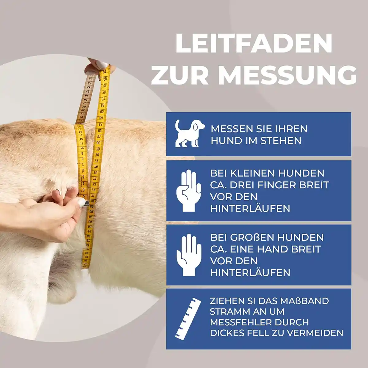 Läufigkeitshose aus Neopren 5 Wie messe ich die Läufigkeitshose von Nature Pet