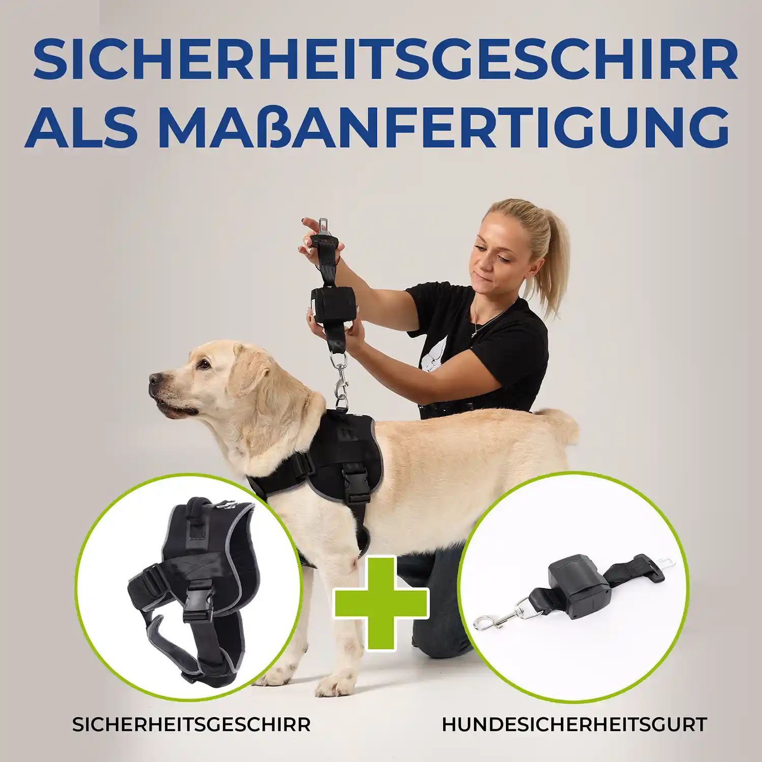 Rollup Sicherheitsgurt für Hunde 11 Hunde Sicherheitsgurt mit Sicherheitsgeschirr