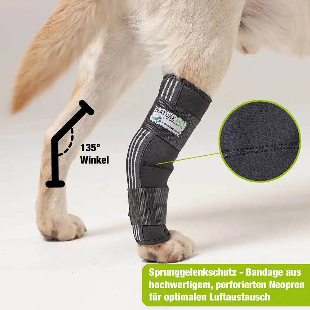 Sprunggelenk Stabilisierungs Bandage für Hunde 5 Hintere Hunde Bnadage von Nature Pet