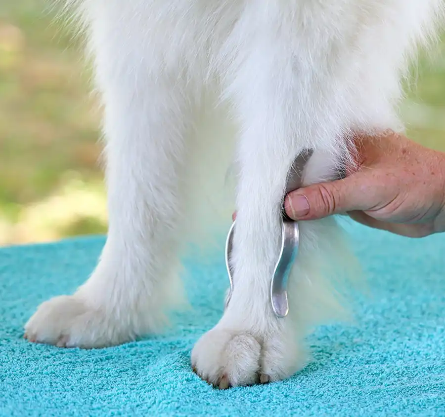 Nature Pet Premium Handgelenks Bandage 15 Anmodellieren der Aluschienen an das Handgelenk des Hundes Pfaff Nature Pet Premium Hundebandage