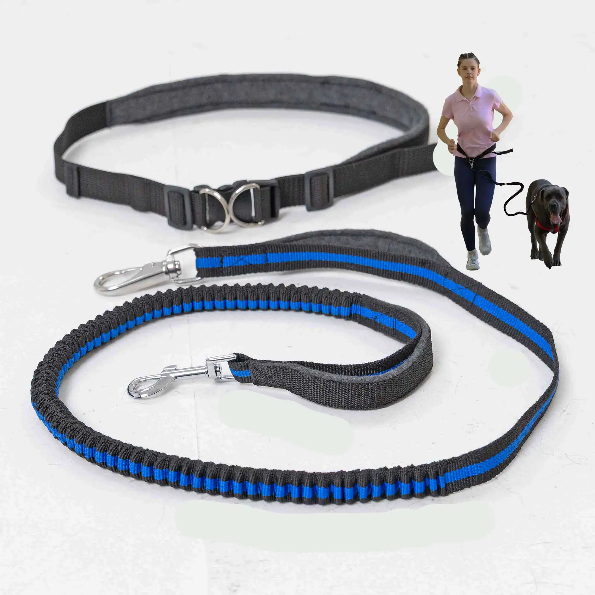 Flexible Joggingleine für Hunde 9 Hunde Joggingleine