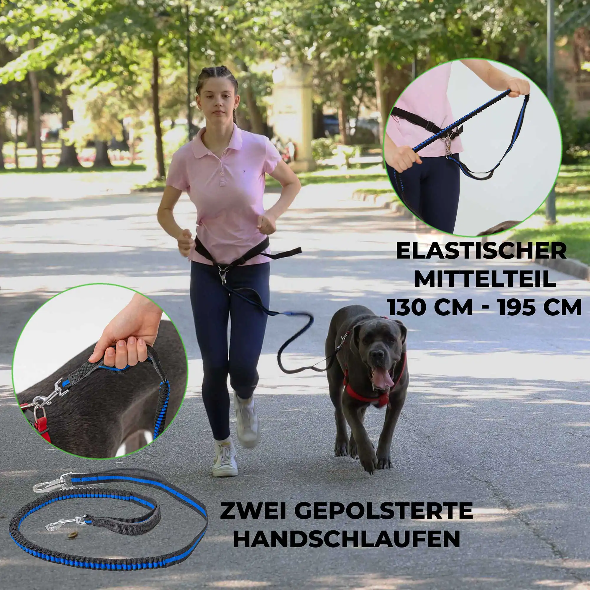 Flexible Joggingleine für Hunde 7 Hunde Joggingleine